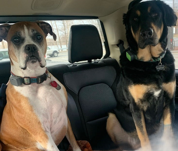 The B&B Company mascots